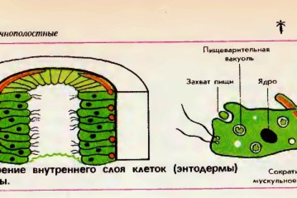 Кракен сайт бошки