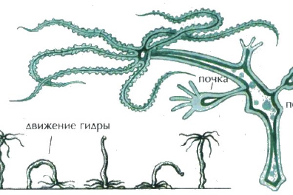 Kraken 2 зеркало