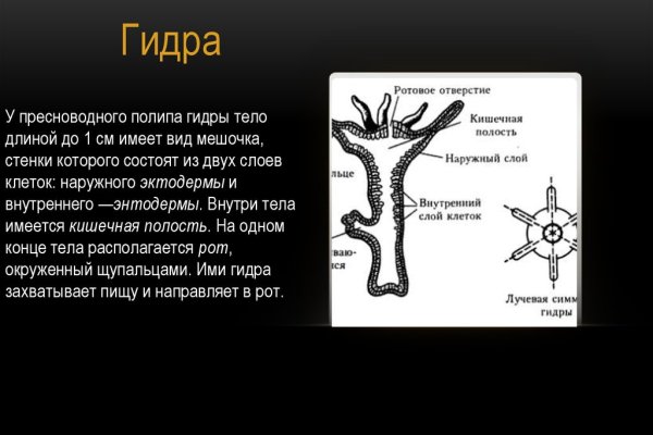 Кракен маркетплейс официальный сайт